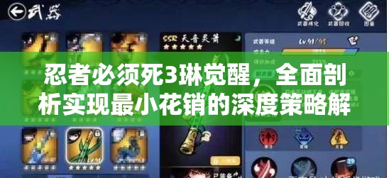 忍者必须死3琳觉醒，全面剖析实现最小花销的深度策略解析