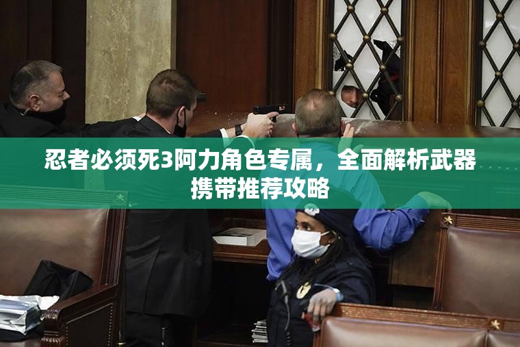 忍者必须死3阿力角色专属，全面解析武器携带推荐攻略