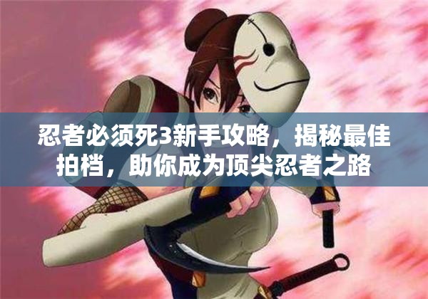 忍者必须死3新手攻略，揭秘最佳拍档，助你成为顶尖忍者之路