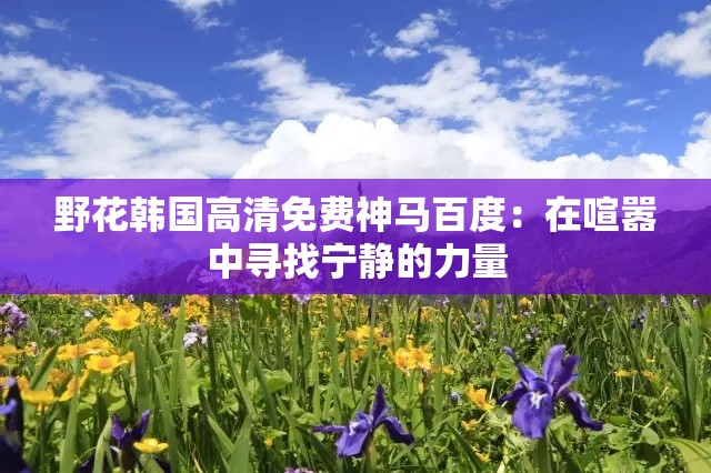 野花韩国高清免费神马百度：在喧嚣中寻找宁静的力量