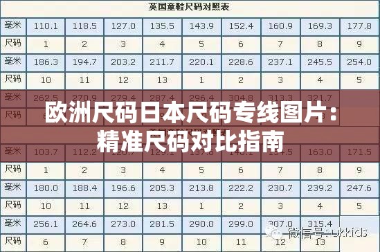 欧洲尺码日本尺码专线图片：精准尺码对比指南