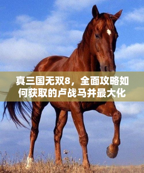 真三国无双8，全面攻略如何获取的卢战马并最大化其战斗价值