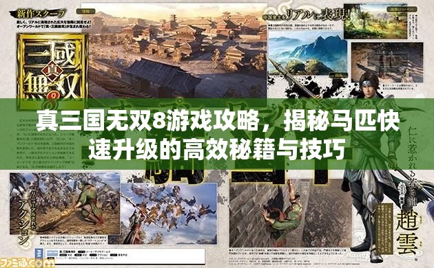 真三国无双8游戏攻略，揭秘马匹快速升级的高效秘籍与技巧