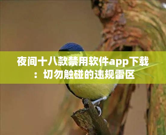 夜间十八款禁用软件app下载：切勿触碰的违规雷区