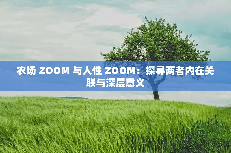 农场 ZOOM 与人性 ZOOM：探寻两者内在关联与深层意义