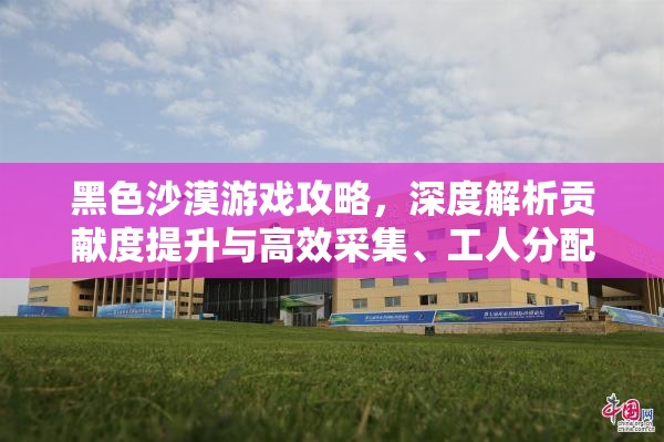 黑色沙漠游戏攻略，深度解析贡献度提升与高效采集、工人分配秘籍