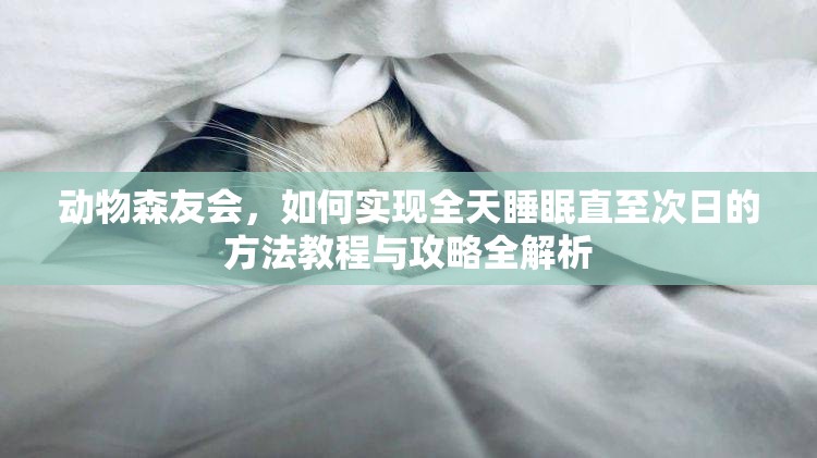 动物森友会，如何实现全天睡眠直至次日的方法教程与攻略全解析