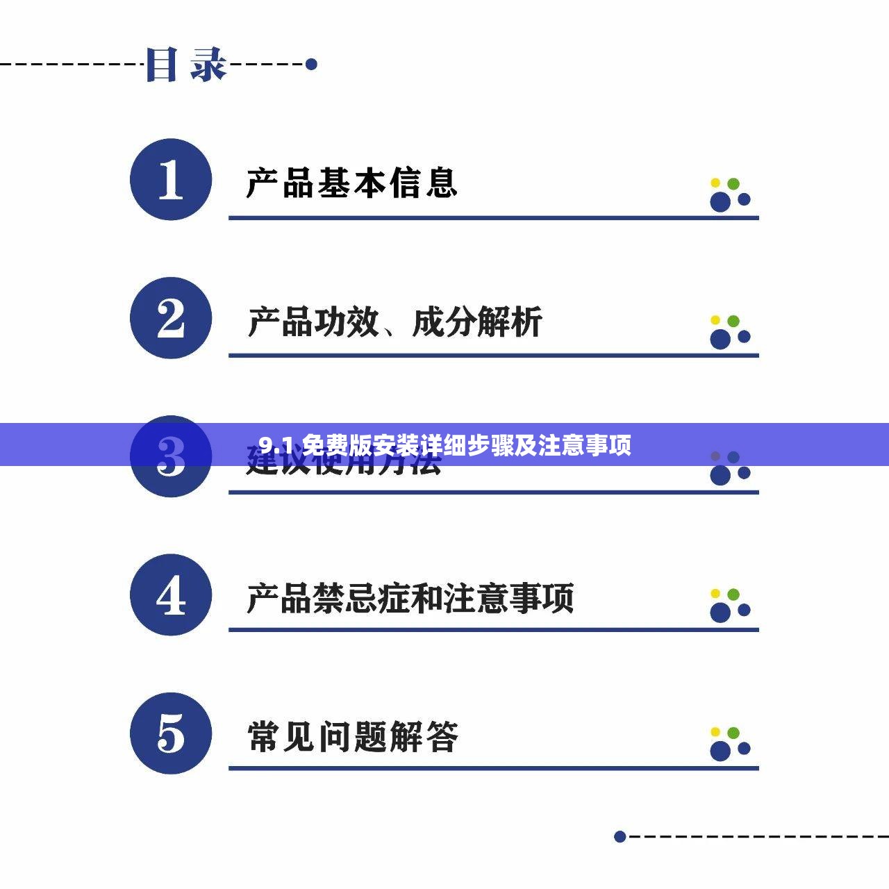 9.1 免费版安装详细步骤及注意事项