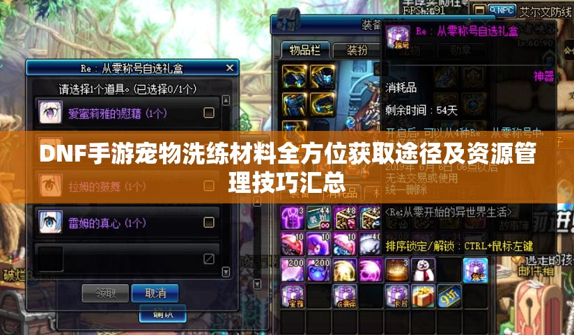 DNF手游宠物洗练材料全方位获取途径及资源管理技巧汇总