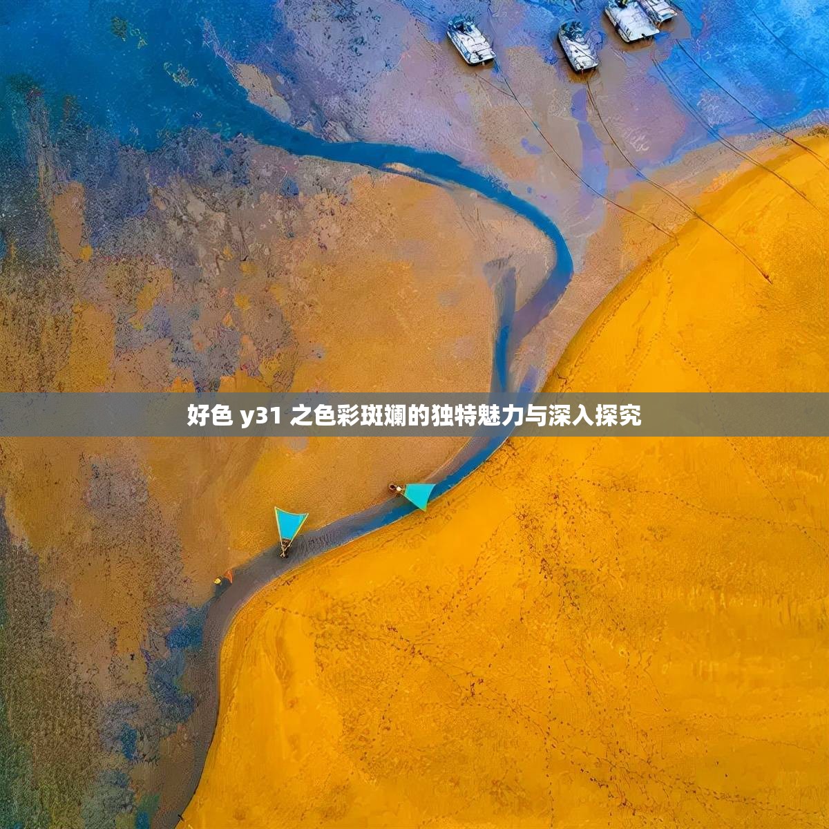 好色 y31 之色彩斑斓的独特魅力与深入探究