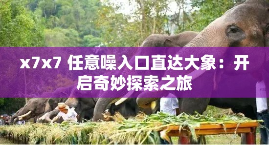 x7x7 任意噪入口直达大象：开启奇妙探索之旅