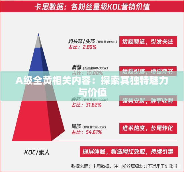 A级全黄相关内容：探索其独特魅力与价值