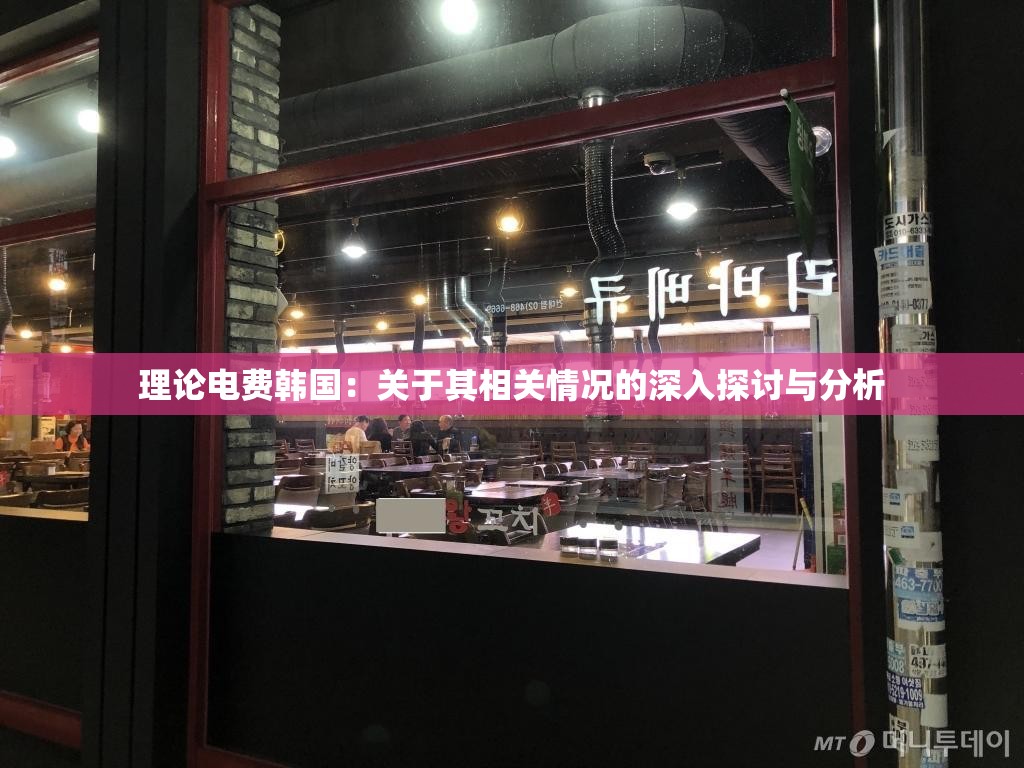 理论电费韩国：关于其相关情况的深入探讨与分析