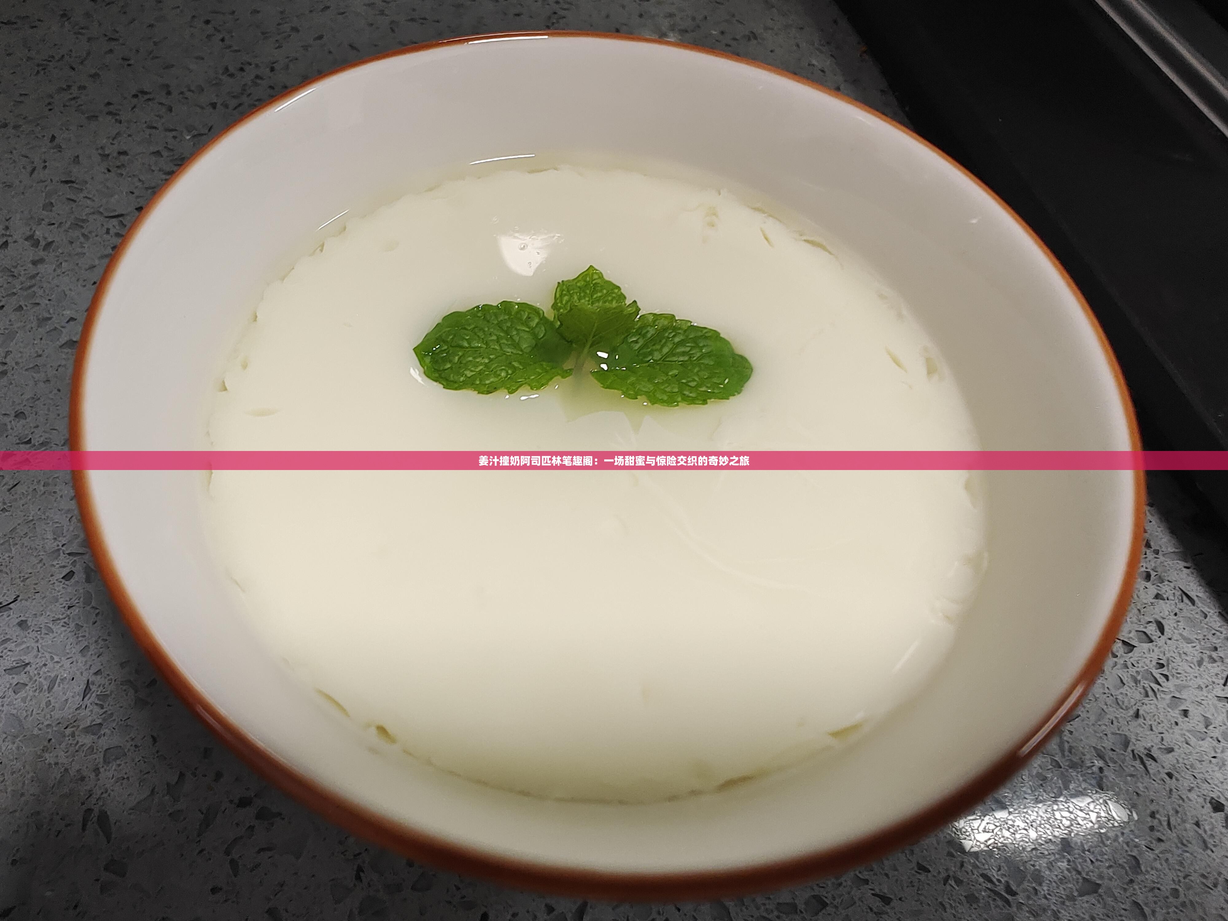 姜汁撞奶阿司匹林笔趣阁：一场甜蜜与惊险交织的奇妙之旅