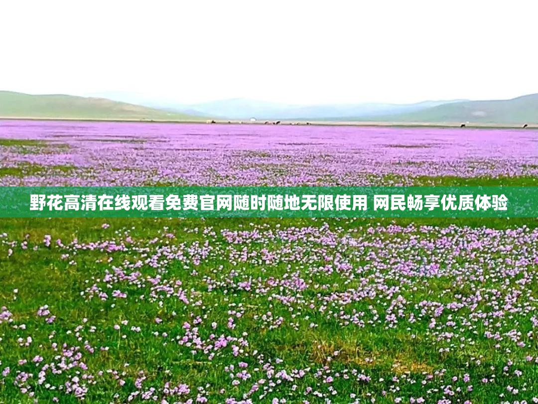 野花高清在线观看免费官网随时随地无限使用 网民畅享优质体验