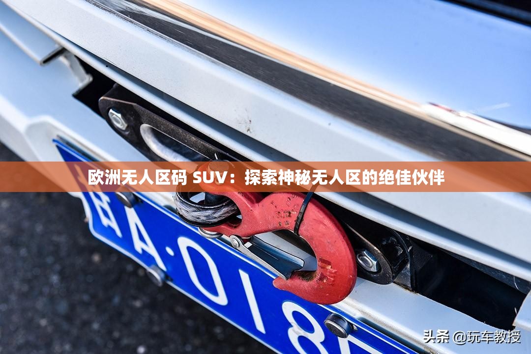 欧洲无人区码 SUV：探索神秘无人区的绝佳伙伴