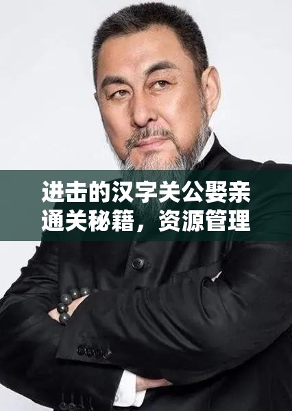 进击的汉字关公娶亲通关秘籍，资源管理策略在关卡攻略中的核心作用
