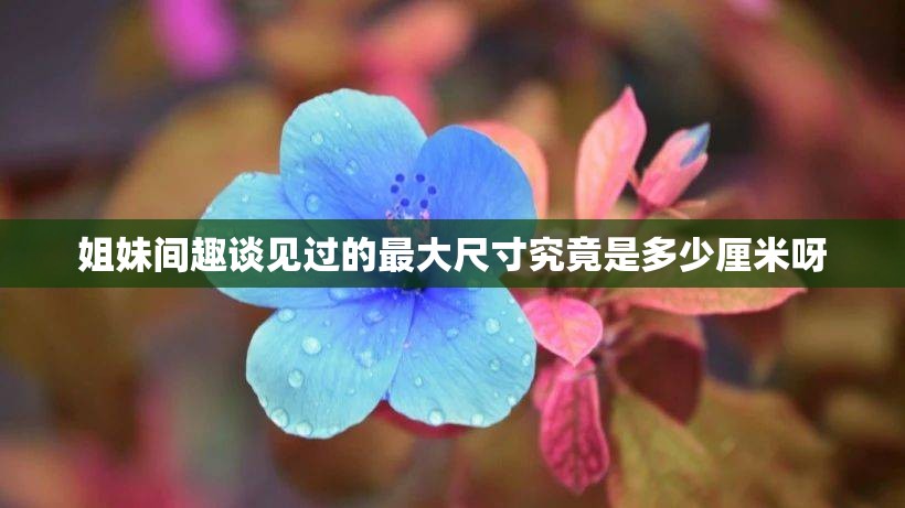 姐妹间趣谈见过的最大尺寸究竟是多少厘米呀