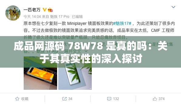 成品网源码 78W78 是真的吗：关于其真实性的深入探讨