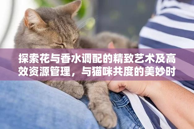 探索花与香水调配的精致艺术及高效资源管理，与猫咪共度的美妙时光
