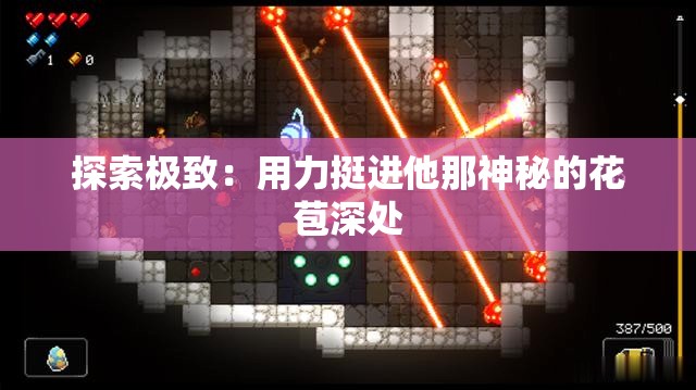 探索极致：用力挺进他那神秘的花苞深处