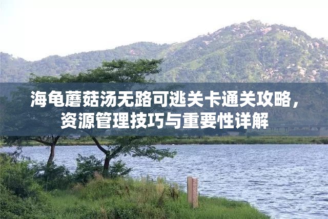 海龟蘑菇汤无路可逃关卡通关攻略，资源管理技巧与重要性详解