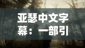 亚瑟中文字幕：一部引人深思的电影