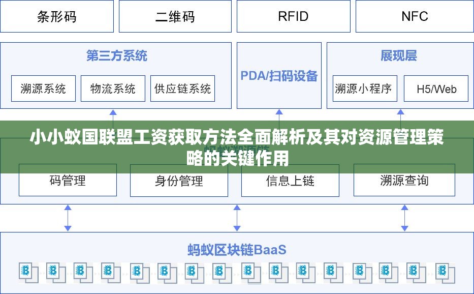 小小蚁国联盟工资获取方法全面解析及其对资源管理策略的关键作用
