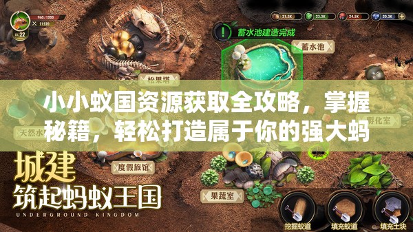 小小蚁国资源获取全攻略，掌握秘籍，轻松打造属于你的强大蚂蚁帝国