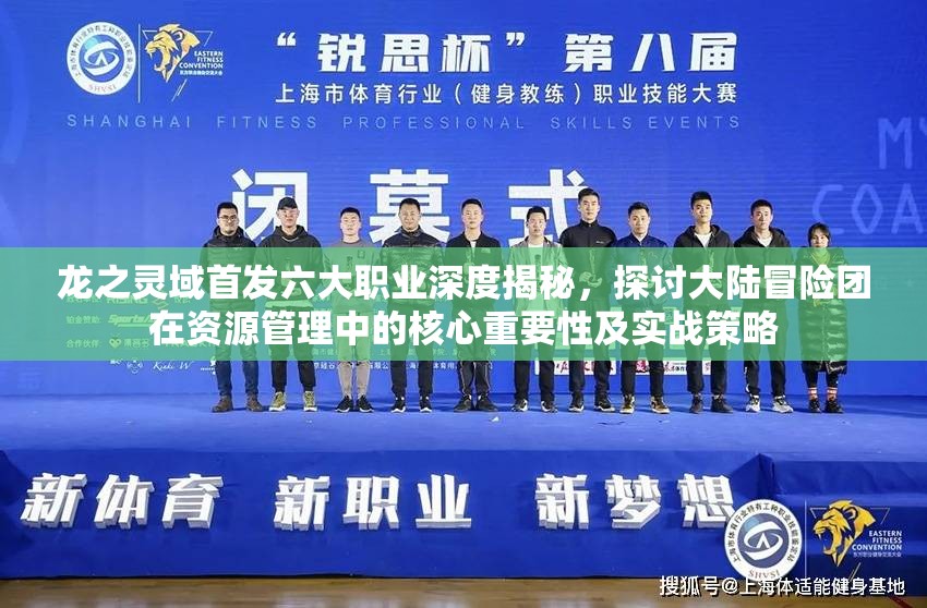 龙之灵域首发六大职业深度揭秘，探讨大陆冒险团在资源管理中的核心重要性及实战策略