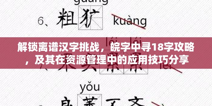 解锁离谱汉字挑战，皖字中寻18字攻略，及其在资源管理中的应用技巧分享