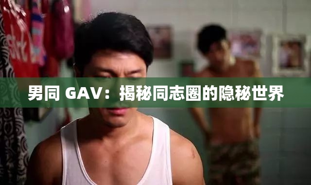 男同 GAV：揭秘同志圈的隐秘世界