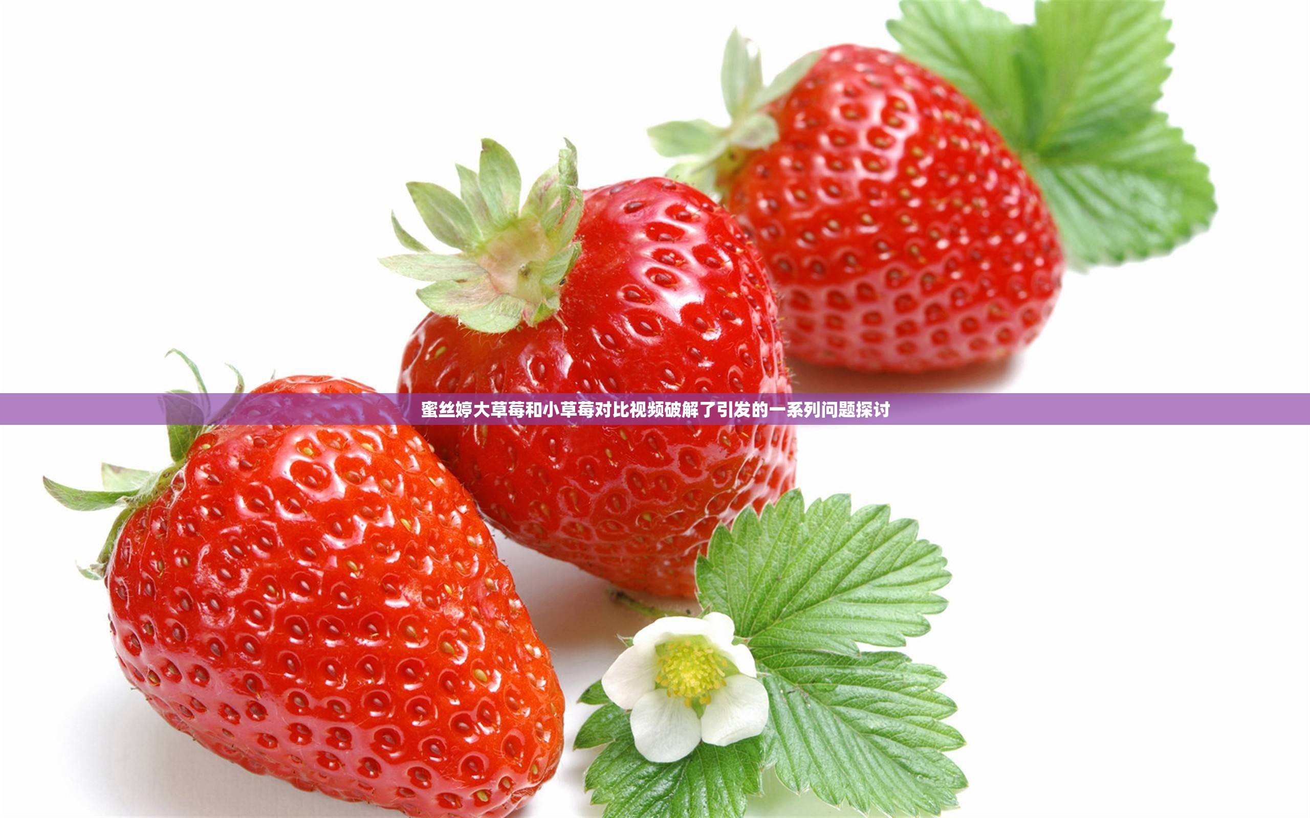 蜜丝婷大草莓和小草莓对比视频破解了引发的一系列问题探讨