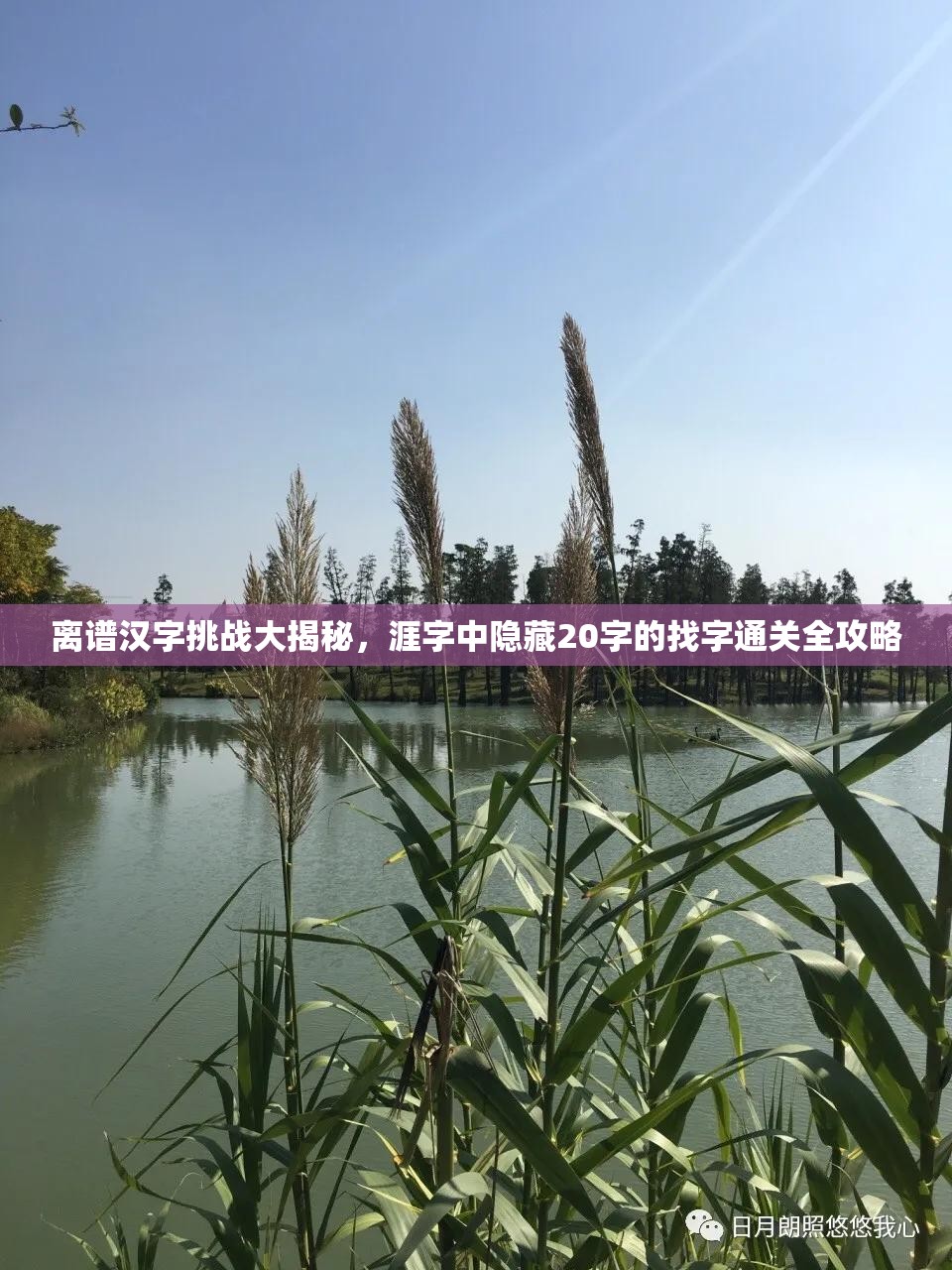 离谱汉字挑战大揭秘，涯字中隐藏20字的找字通关全攻略