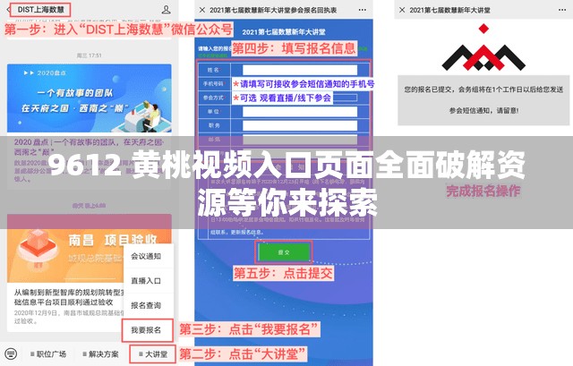 9612 黄桃视频入口页面全面破解资源等你来探索