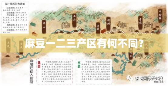 麻豆一二三产区有何不同？