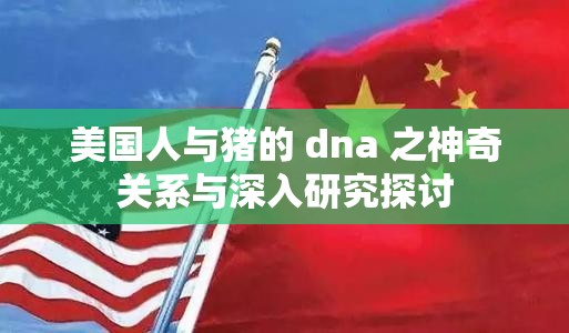 美国人与猪的 dna 之神奇关系与深入研究探讨