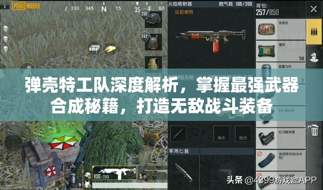 弹壳特工队深度解析，掌握最强武器合成秘籍，打造无敌战斗装备