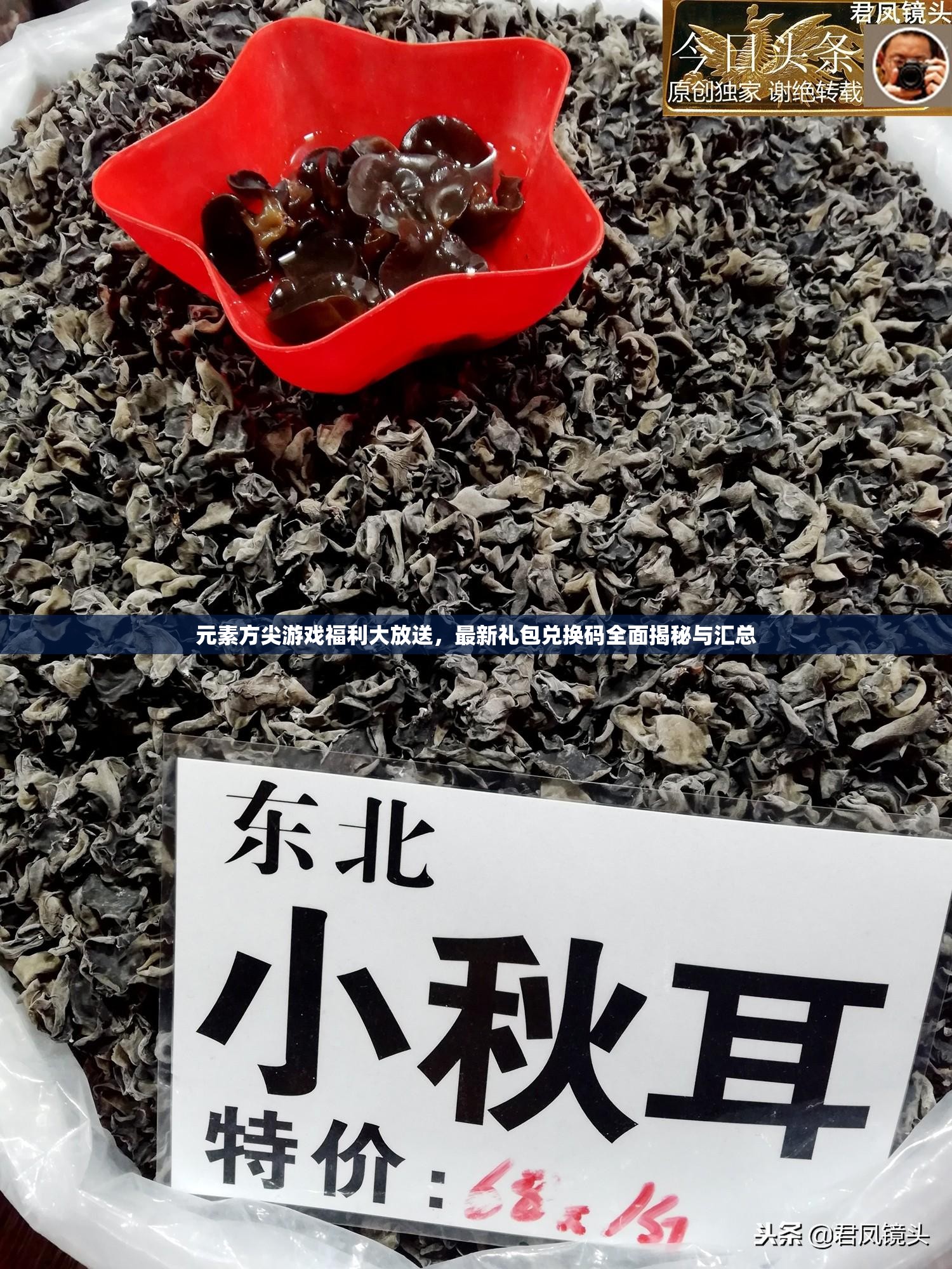 元素方尖游戏福利大放送，最新礼包兑换码全面揭秘与汇总