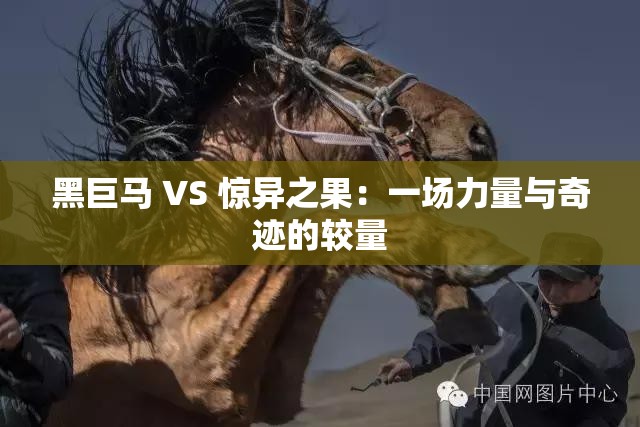 黑巨马 VS 惊异之果：一场力量与奇迹的较量