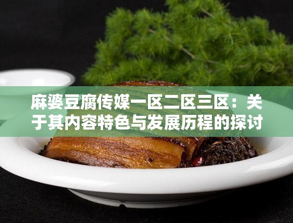 麻婆豆腐传媒一区二区三区：关于其内容特色与发展历程的探讨