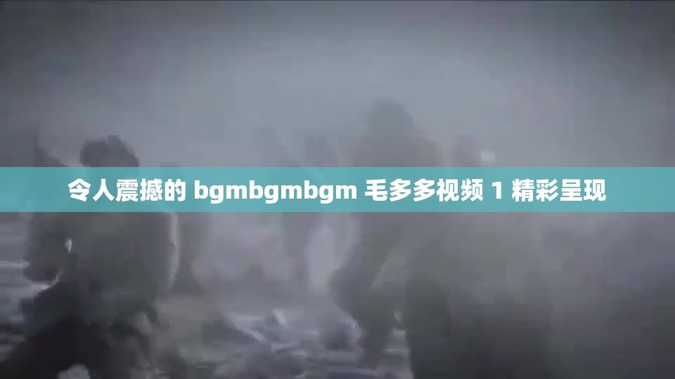 令人震撼的 bgmbgmbgm 毛多多视频 1 精彩呈现