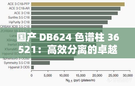 国产 DB624 色谱柱 36521：高效分离的卓越选择