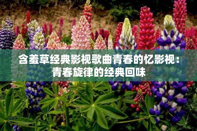 含羞草经典影视歌曲青春的忆影视：青春旋律的经典回味