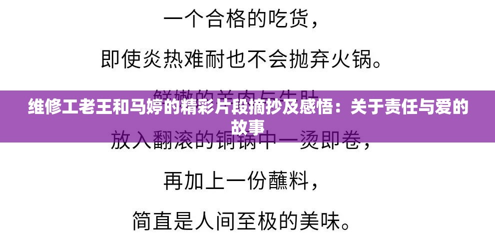 维修工老王和马婷的精彩片段摘抄及感悟：关于责任与爱的故事