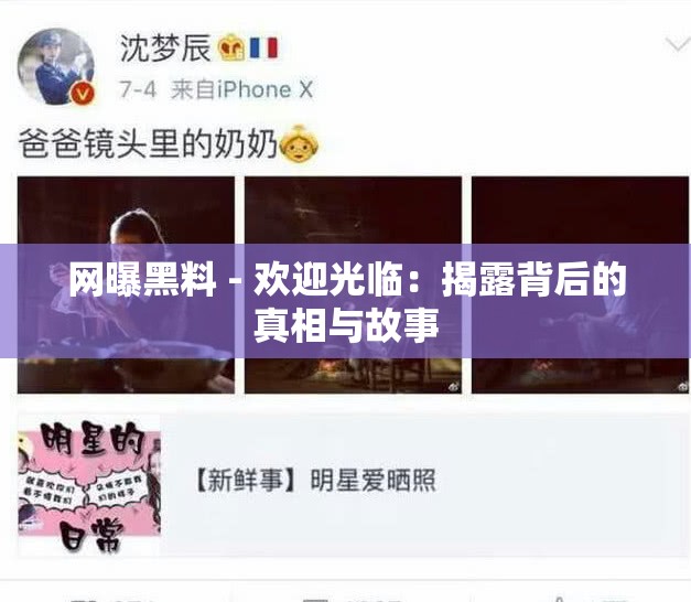 网曝黑料 - 欢迎光临：揭露背后的真相与故事