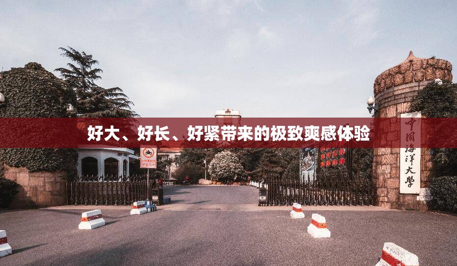 好大、好长、好紧带来的极致爽感体验