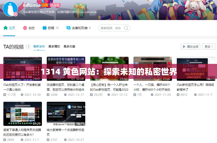 1314 黄色网站：探索未知的私密世界