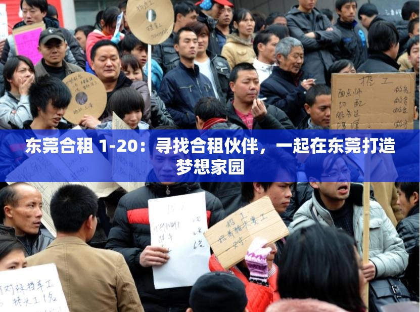 东莞合租 1-20：寻找合租伙伴，一起在东莞打造梦想家园