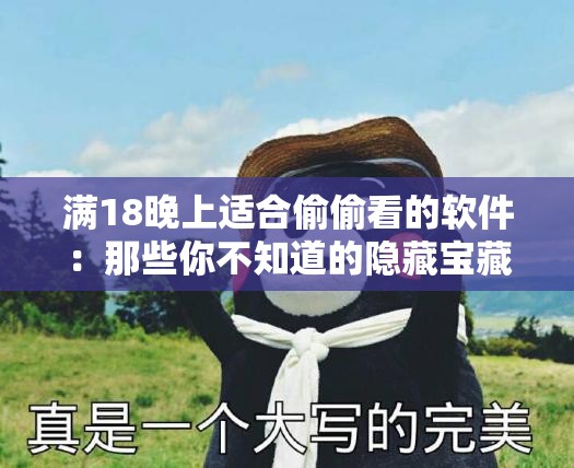 满18晚上适合偷偷看的软件：那些你不知道的隐藏宝藏